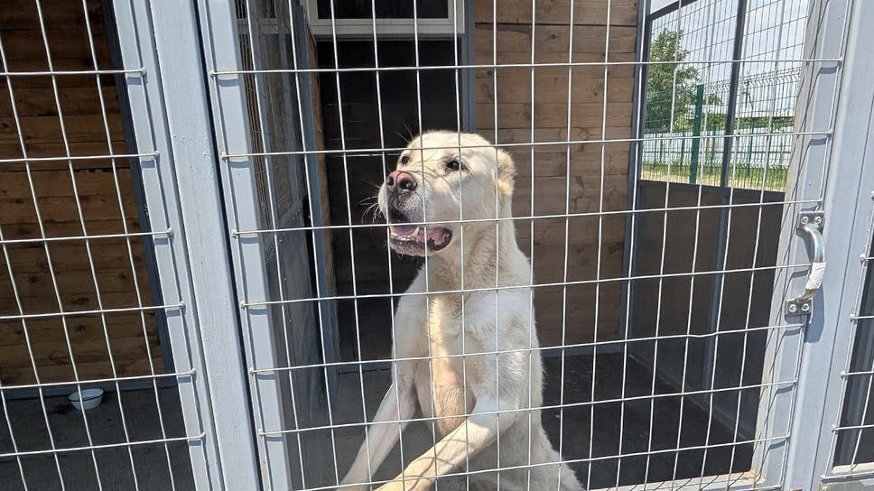 Фото: Алина Зорина