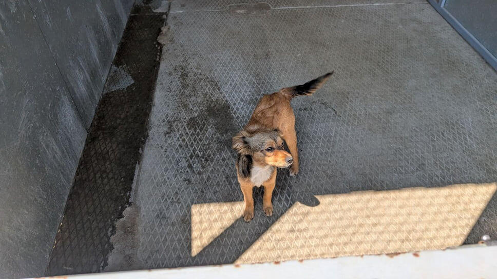 Фото: Алина Зорина