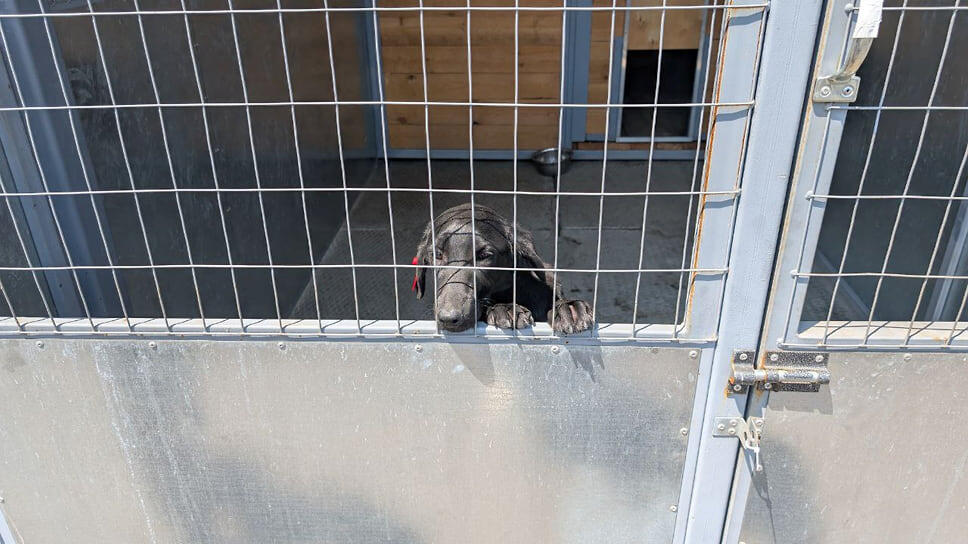 Фото: Алина Зорина