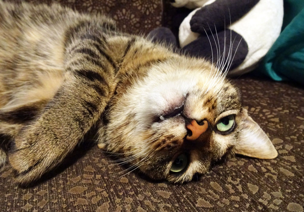 Какие такие минуты считать? Я что с ума сошла что-ли?