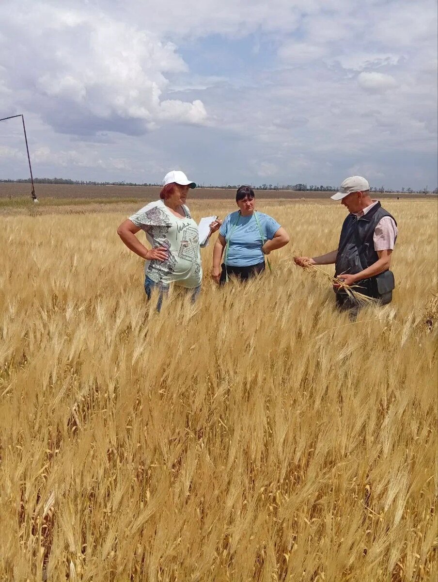    Новости Херсона и Херсонской области