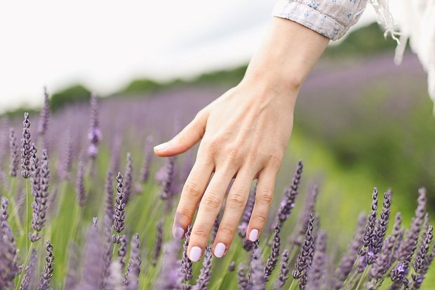    Фото: EyeEm Mobile GmbH / Getty Images