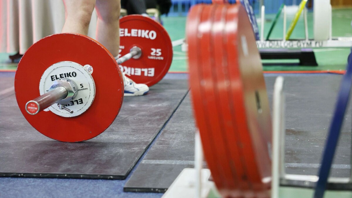    Фото: Андрей Ткачев/«Ямал-Медиа»