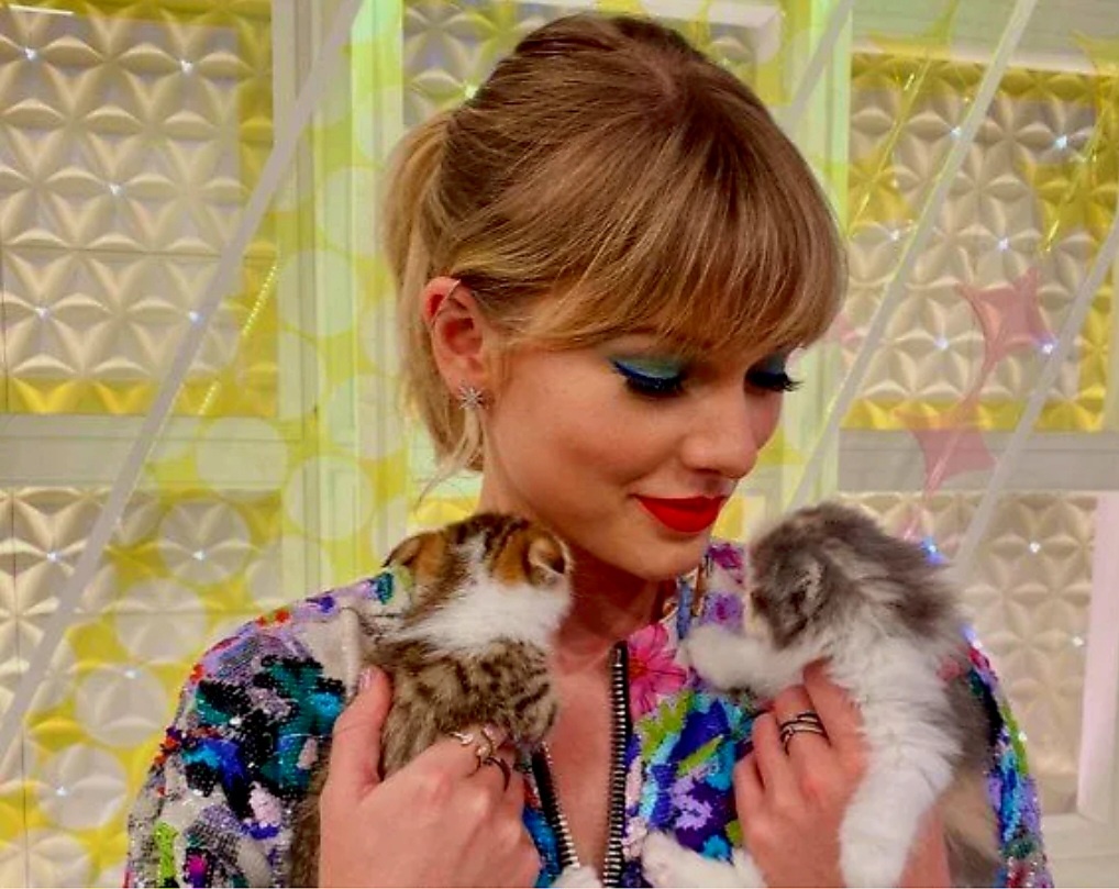 Тейлор Свифт и котики