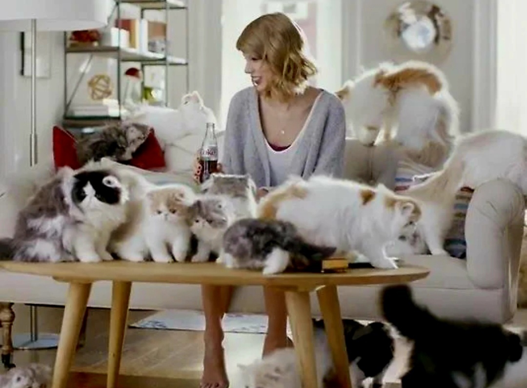 Тейлор Свифт и котики