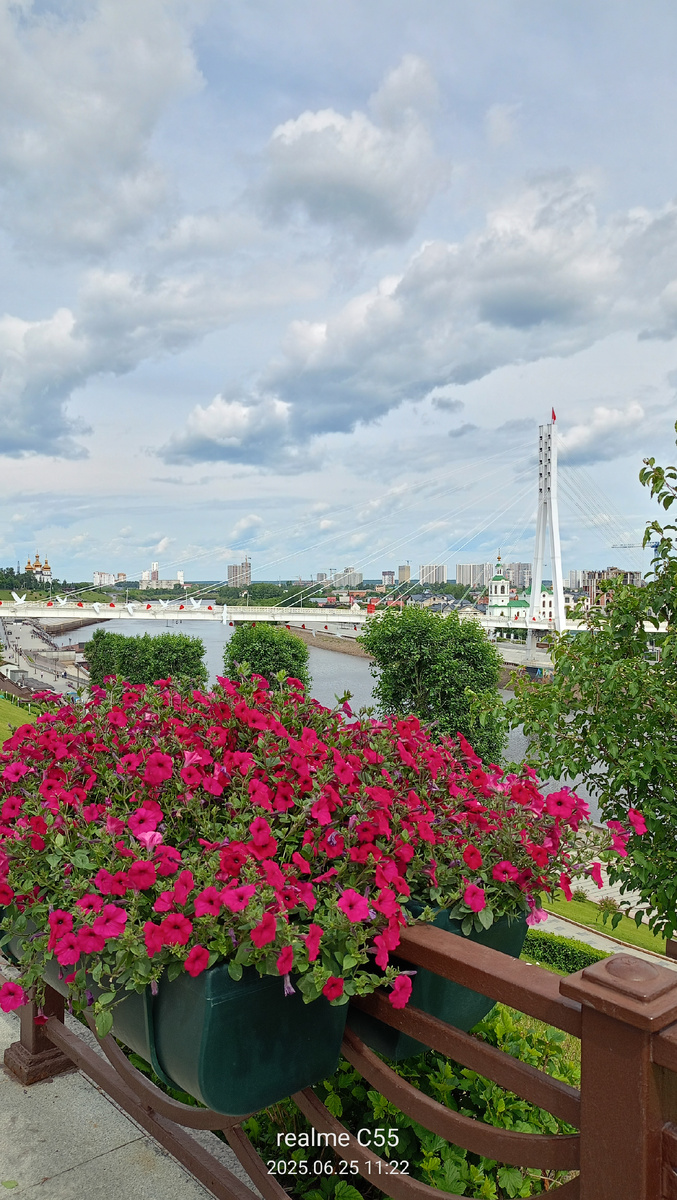 Небо с утра вчера было серым в тучах, но первое фото этого дня получилось ярким🤗. Вид на мост Влюблённых.