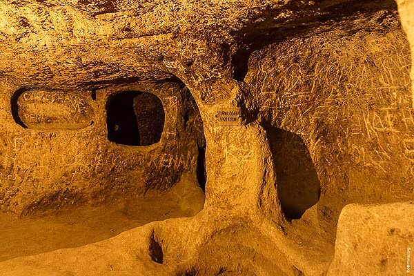 Фото из интернета