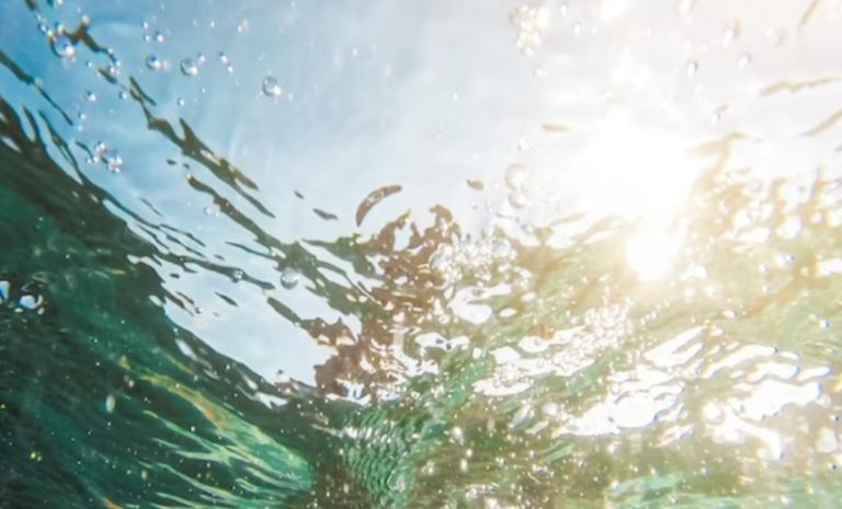    Фото: ru.freepik.com Александра Горохова