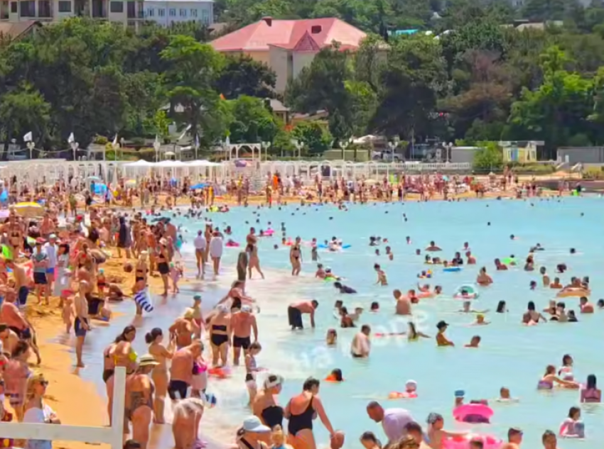 Фото: стоп-кадр видео ТГ «Жизнь на море"