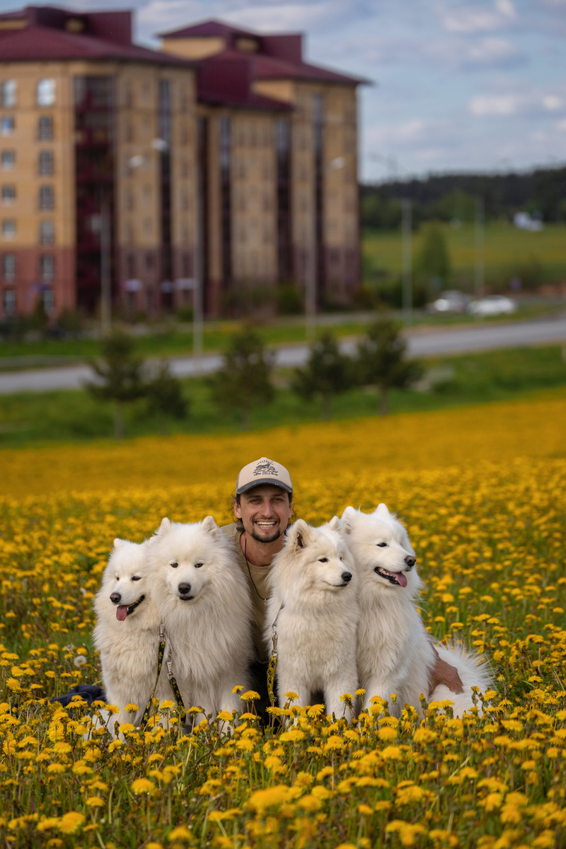 Артём Розов — основатель проекта собакотерапии Dog Friendly Zavidovo