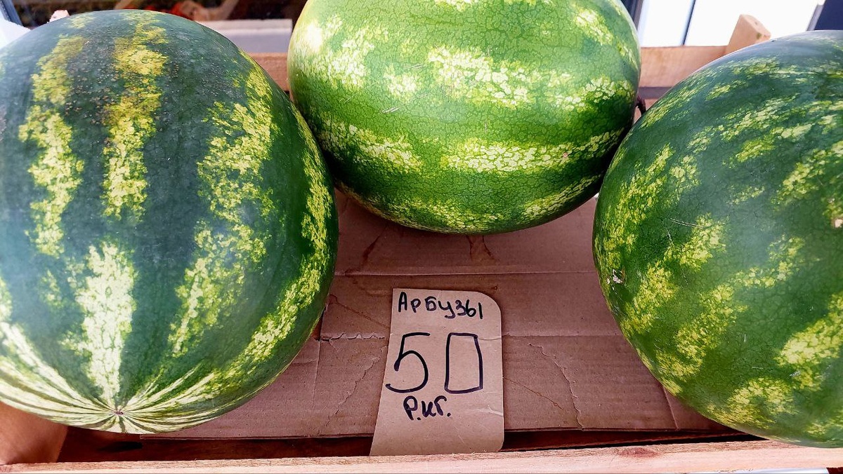 Арбузы. Арбуз фото. Если попался не сладкий арбуз. Арбузы в Краснодаре. Купить арбуз. Фото автора канала "Вилка. Ложка. Палочки"