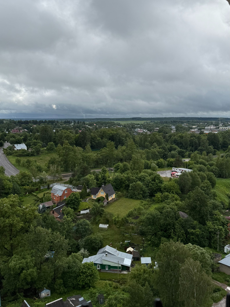 Фото автора канала. Вид с колокольни Ново-Никольского собора.