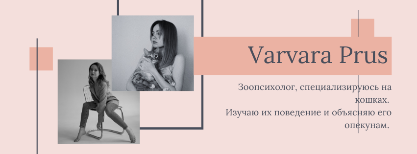 Кто я вообще такая и почему мне можно доверять?