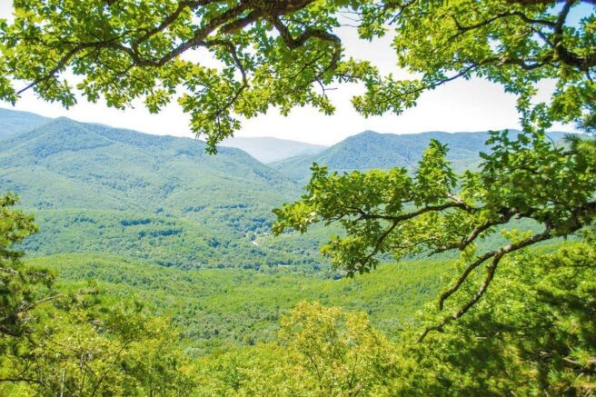    t.me/yuriy_burlachko/