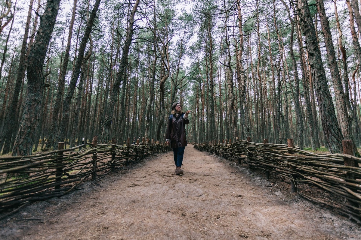 © Unsplash / Marina Stroganova