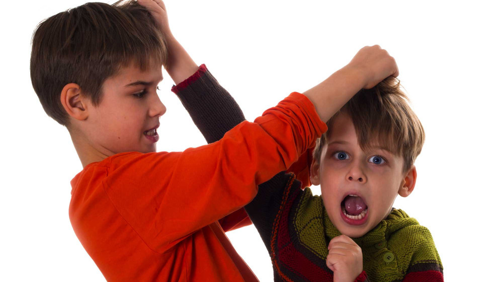    Почему дети становятся агрессорами