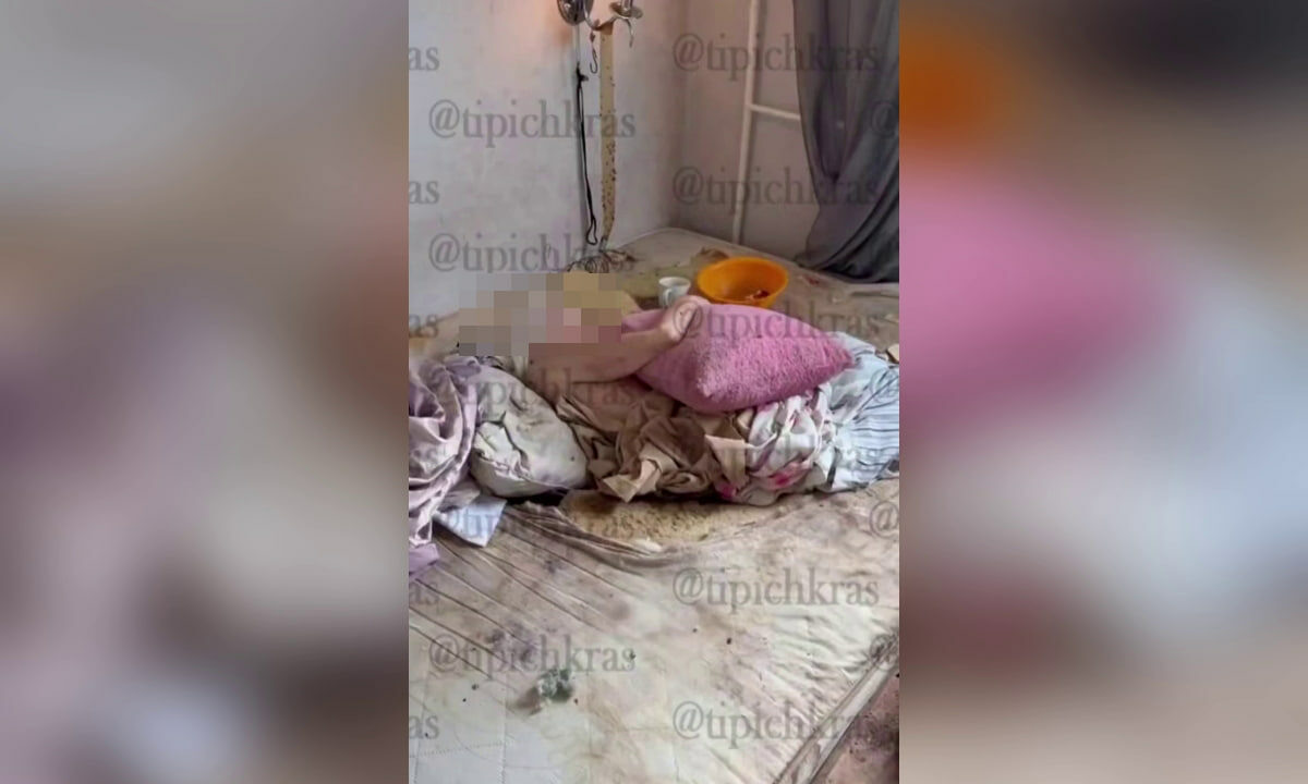    Фото t.me/tipichkras