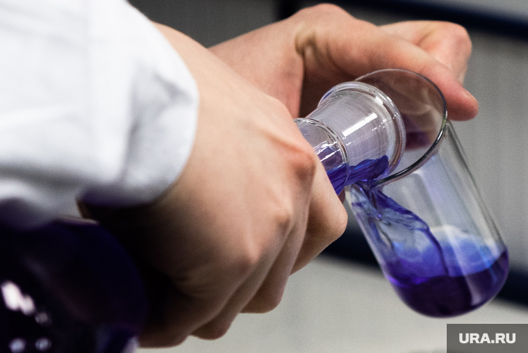 Гостей фестиваля ждут химические и физические опыты. Фото: Анна Майорова © URA.RU