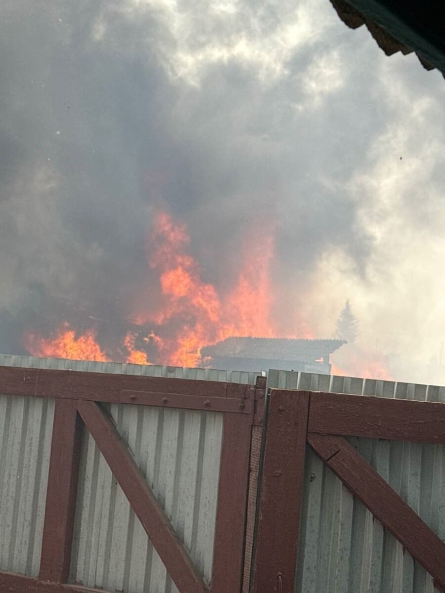    Фото: Очевидец   📷   Фото: Очевидец