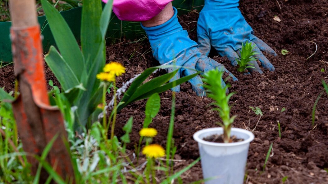    Фото: ©OksanaKorol/Globallookpress.сom