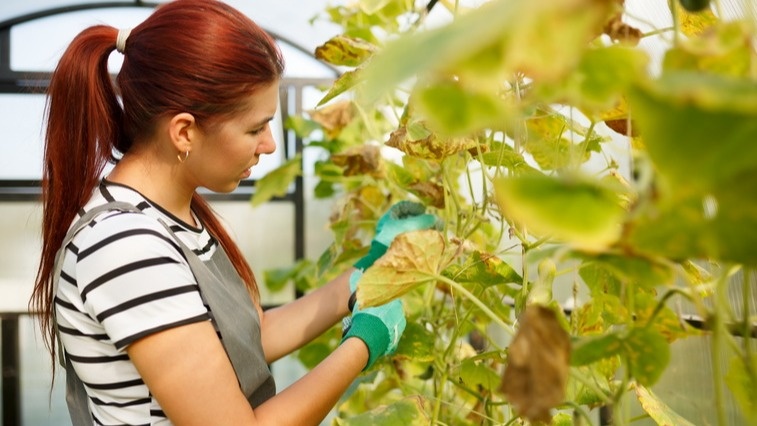 Дефицит калия и перегрев — первые сигналы к немедленным действиям
