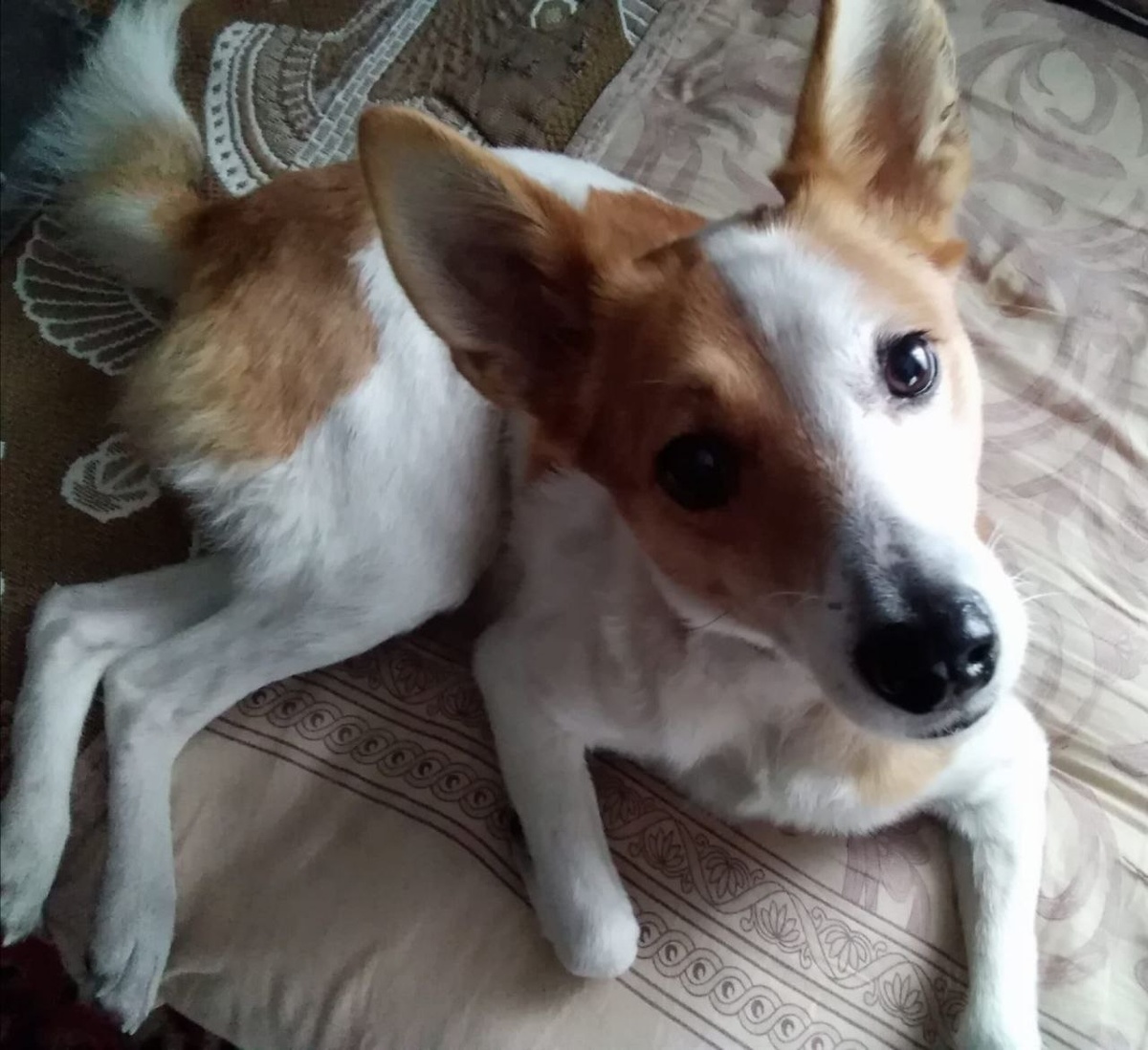 Джессика нашла своё счастье