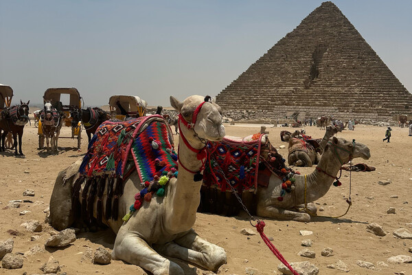 Елена Воронцова/«Газета.Ru»