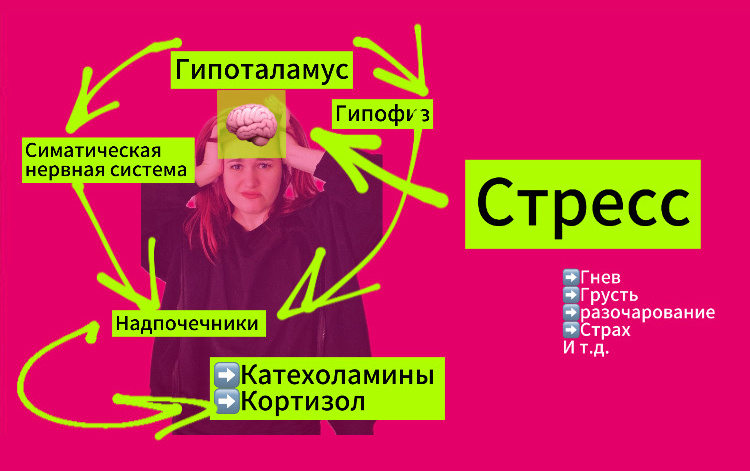 Физиологи и биохимия стресса 