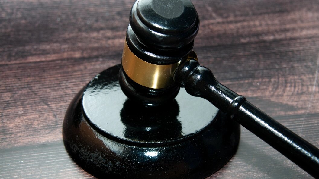    Фото: Svetlana Vozmilova/Globallookpress