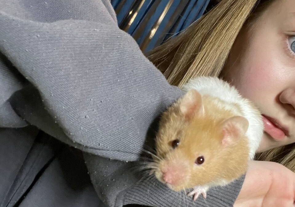 Это моя Лея. То есть мамина:)