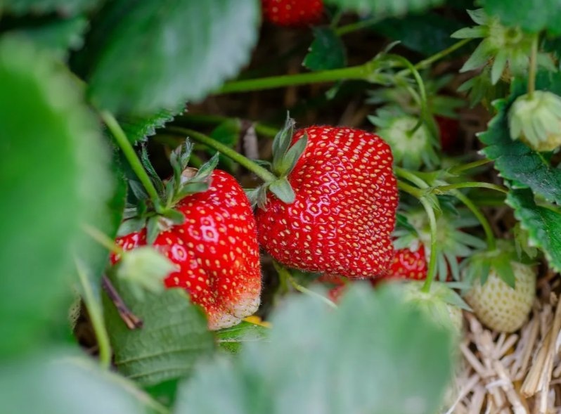 Фото из открытых источников