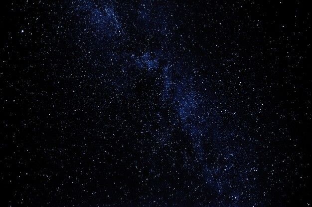 Чёрная Луна. #Предсказанияведьмы