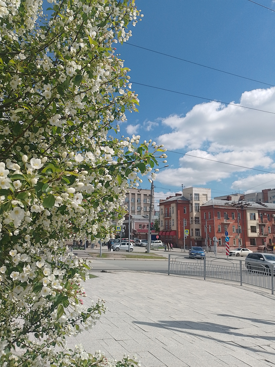 Фото - мое, весеннее