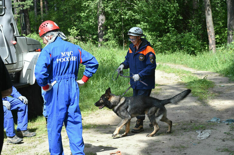   Игорь Самохвалов/ПГ