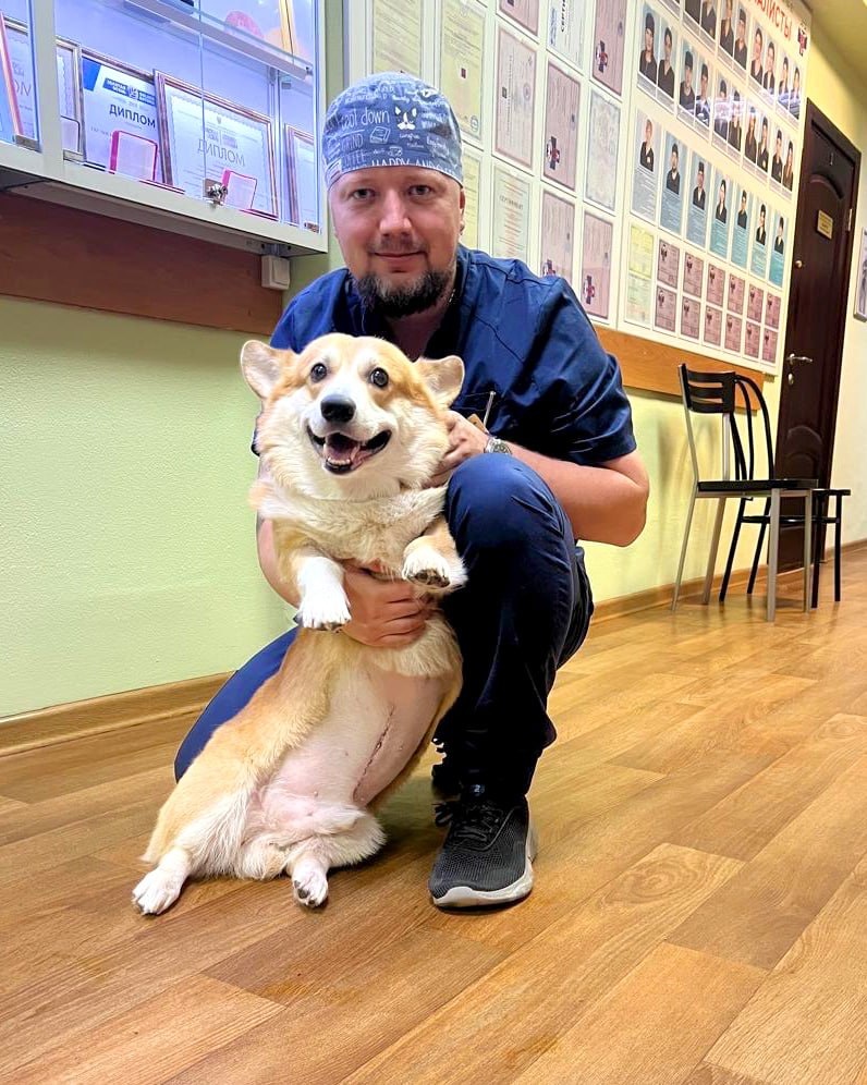 Фото из телеграм-канала «Моя ветклиника»