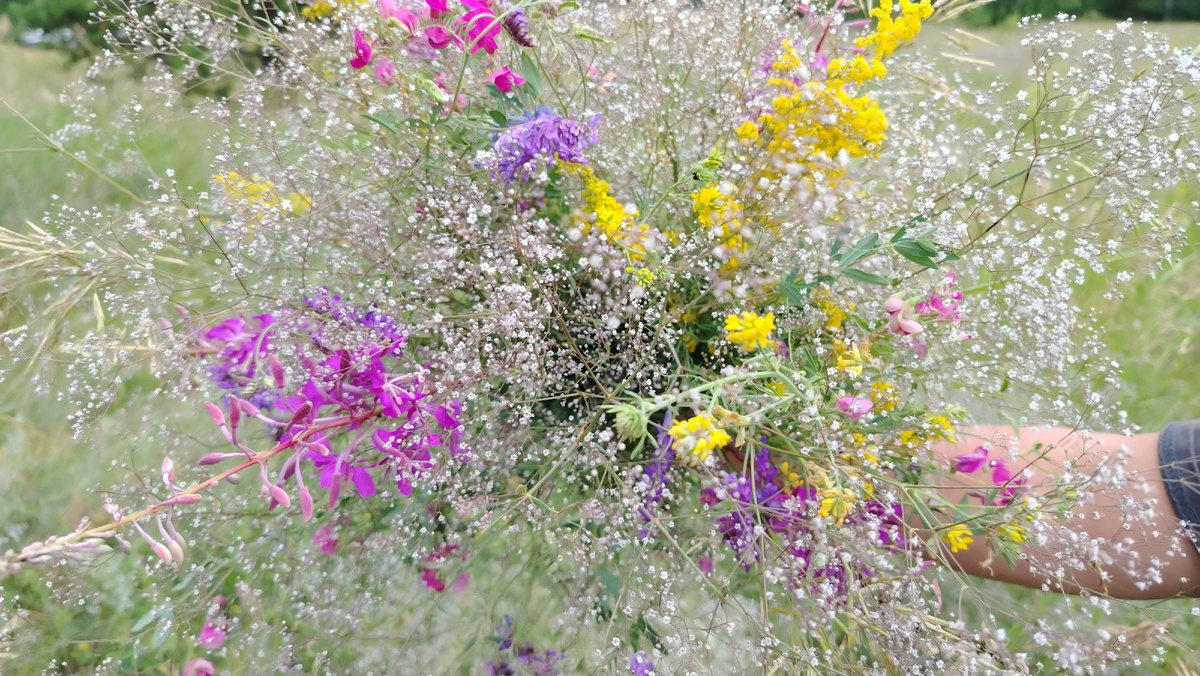 Букетик полевых цветов 