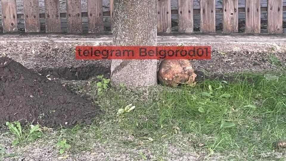     Источник: Telegram-канал «Белгород №1»