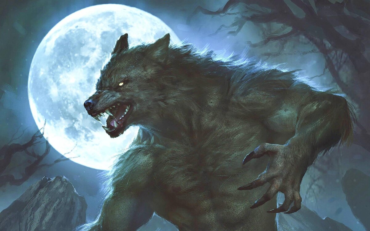 Изображение взято из открытых источников интернета.