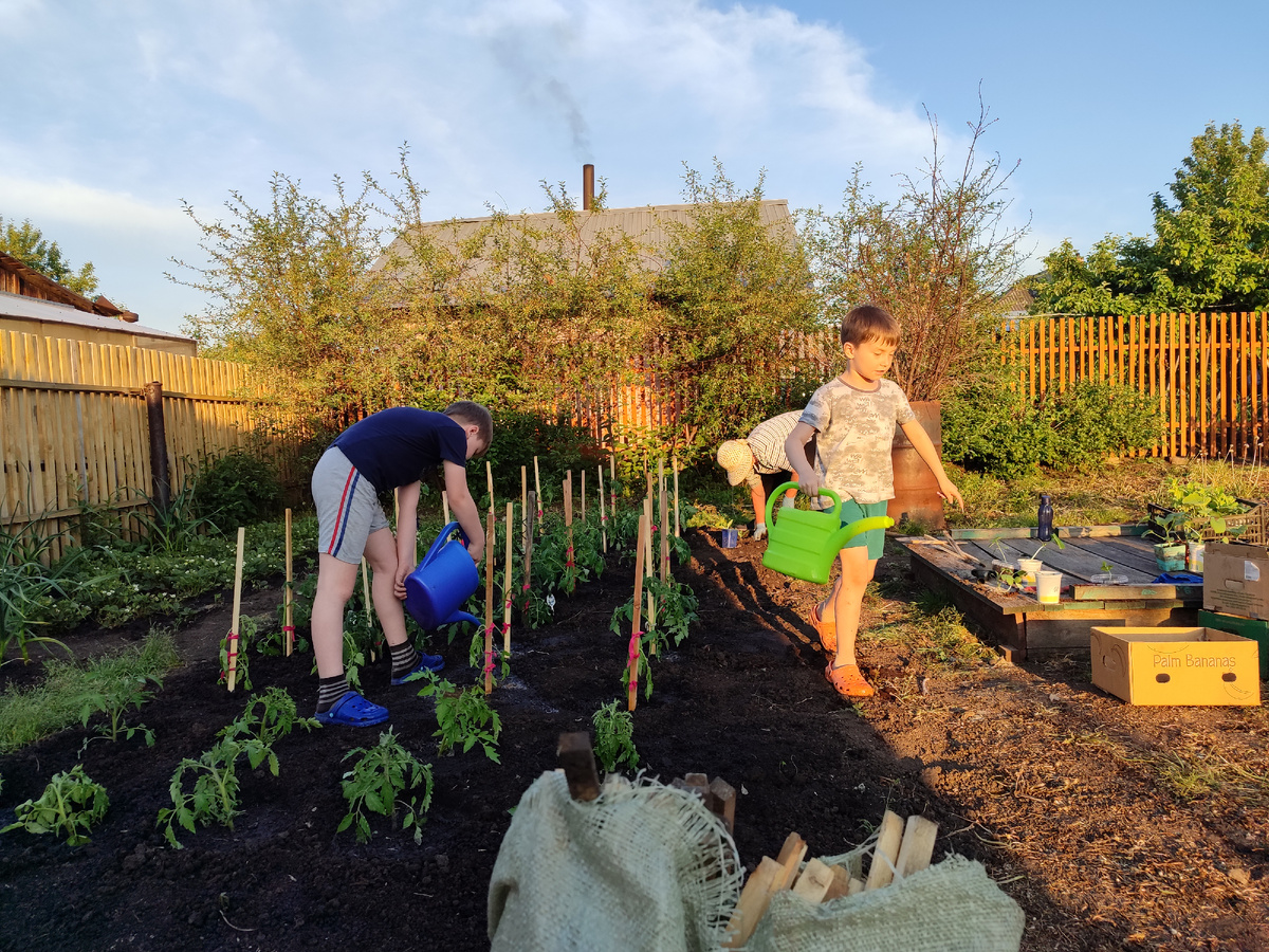 Паша, Вадя, баба Надя сажают огород