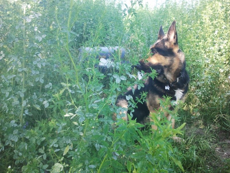 Фото автора