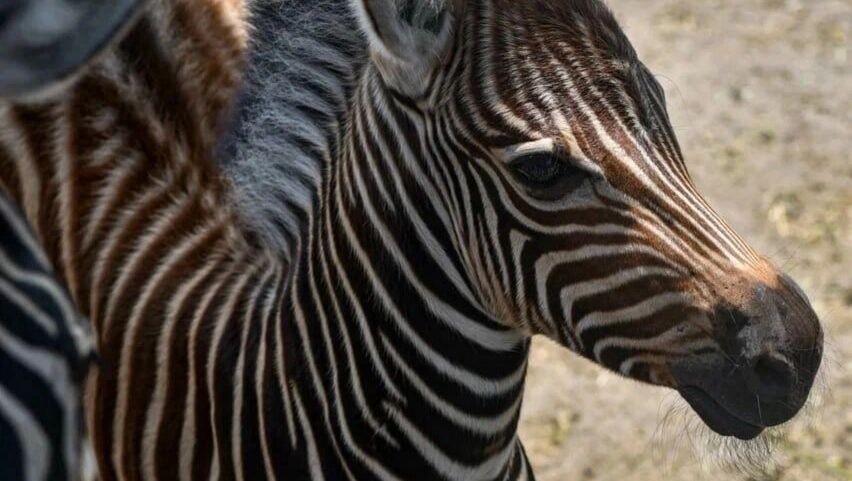     Источник: t.me/oskoladm31