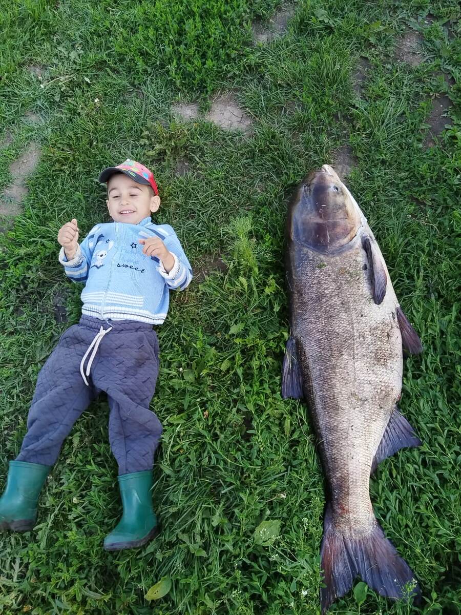 Фото Егора Мысева