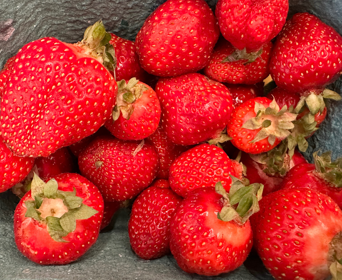 Фотография клубники, которую мы очень быстро с’ели.