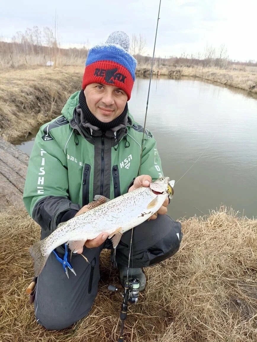 Форель радужная 