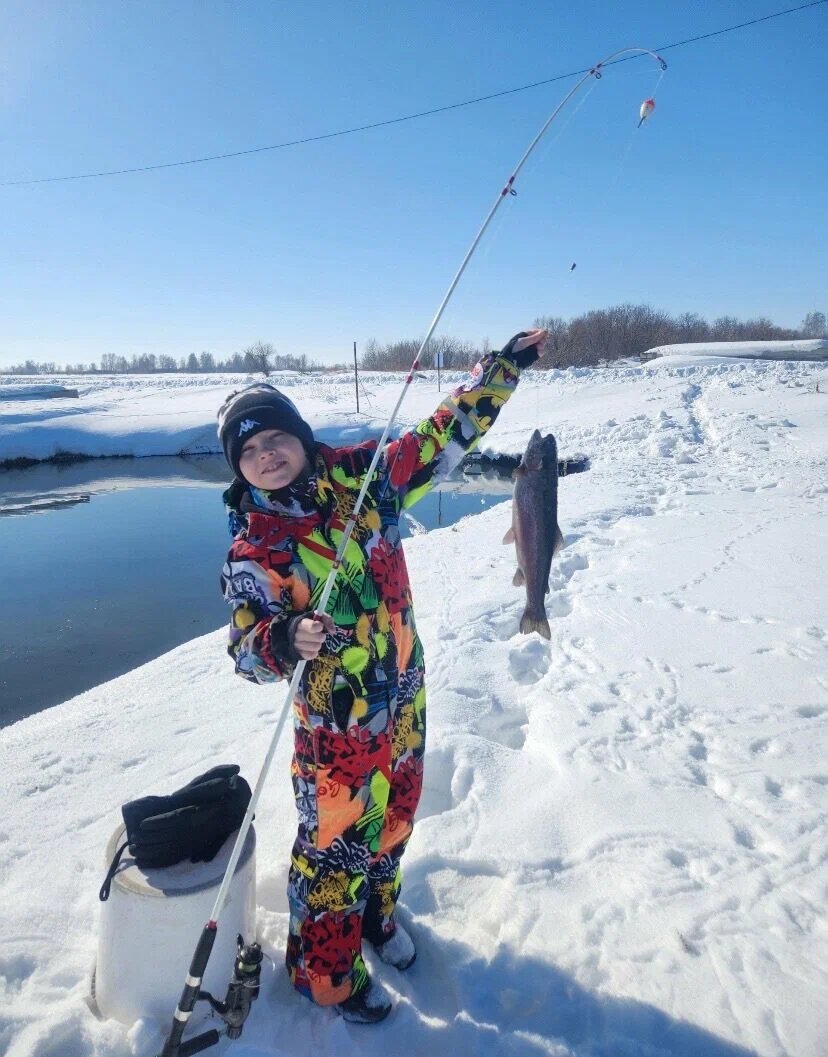 Форель радужная