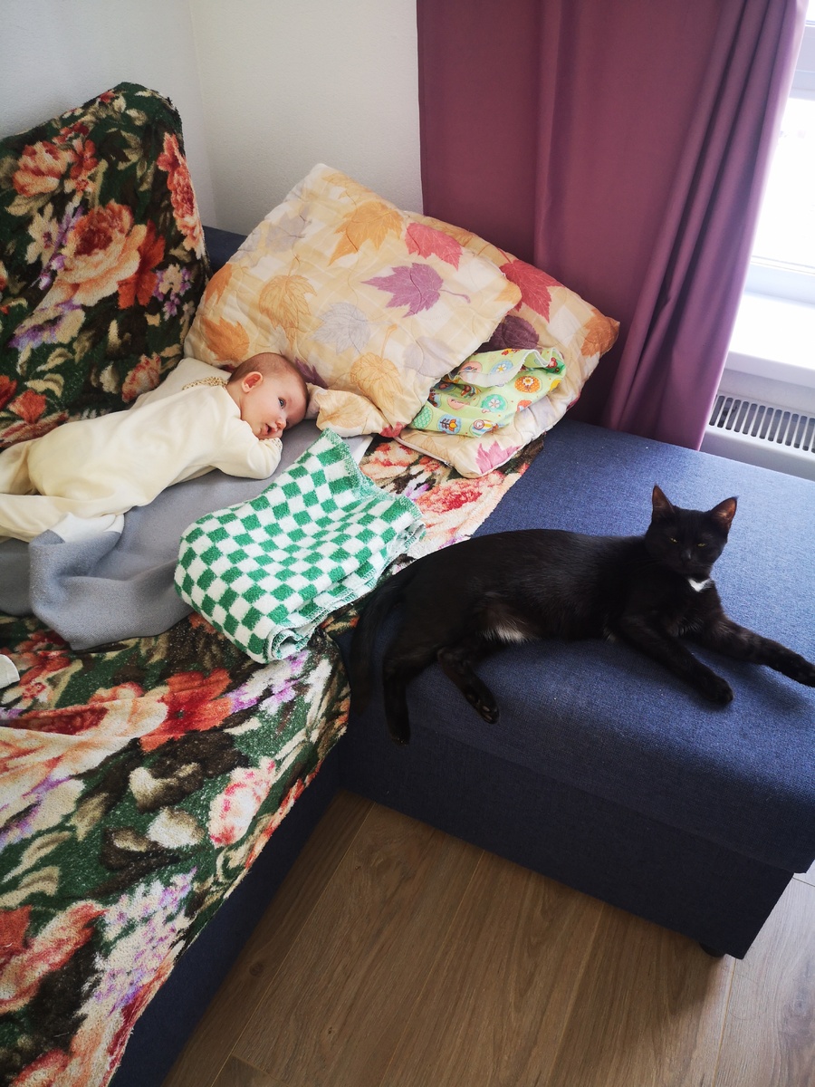 Лора сторожит Маргошу