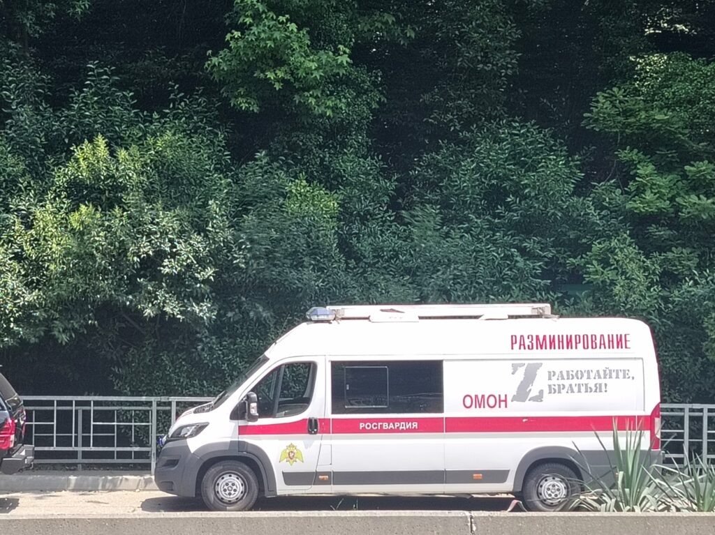    Фото: В курсе.ру Полина Анкушина