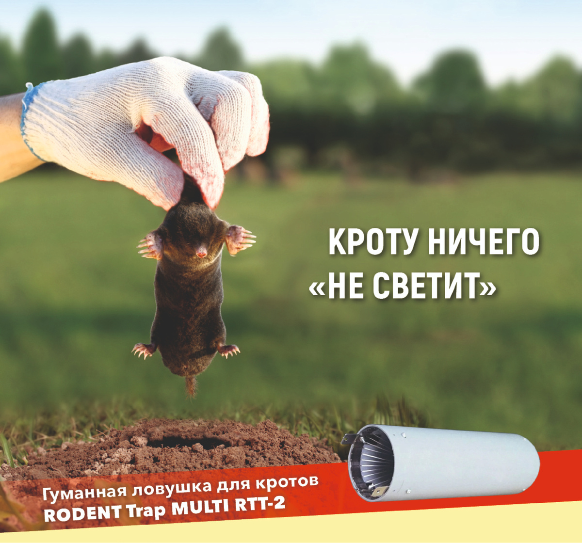 Кроту ничего не светит