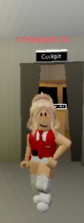 Добро пожаловать на борт пассажиры самолёта желаем вам спокойного приятного полёта. 