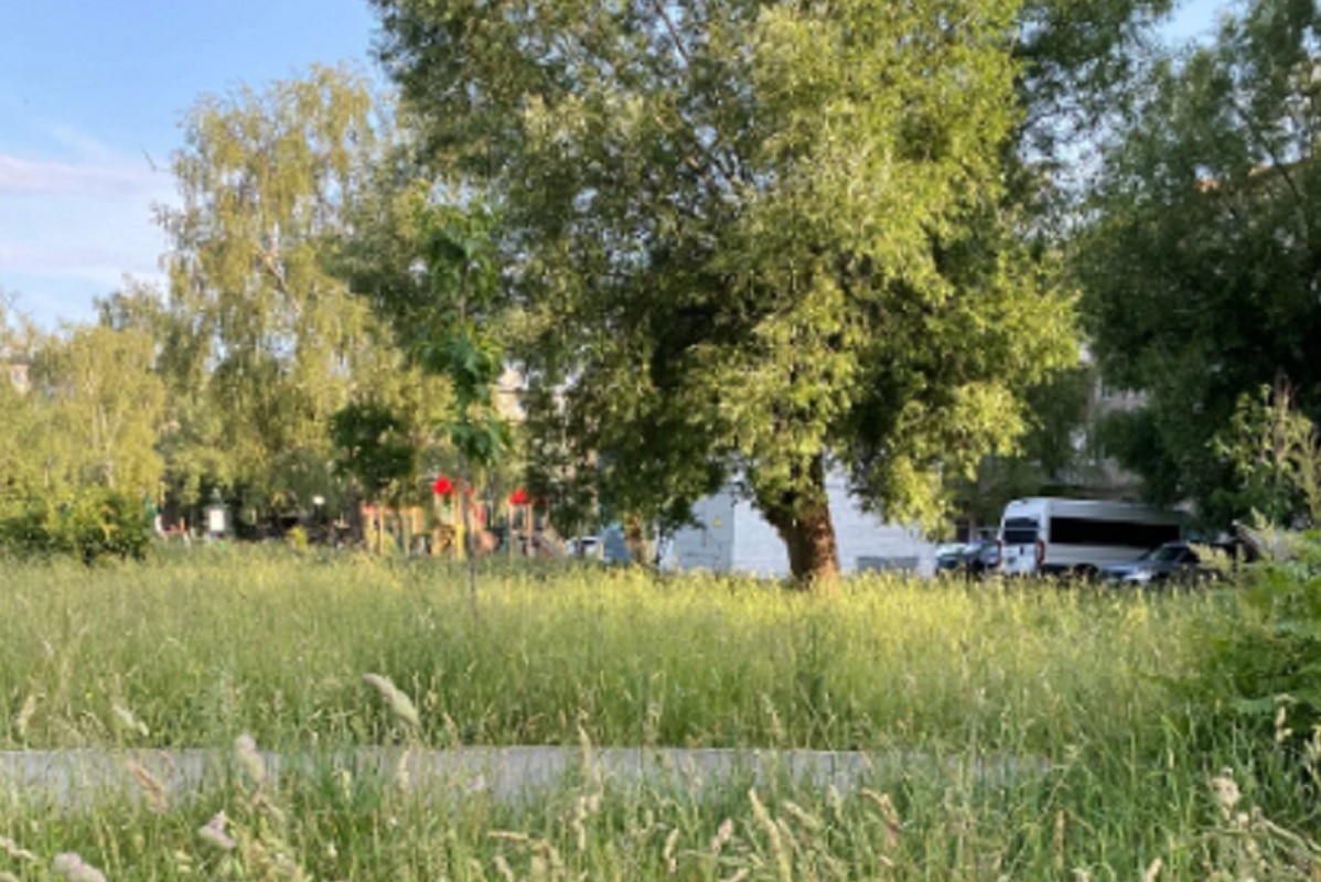    Горожане попросили привести детскую площадку в порядок